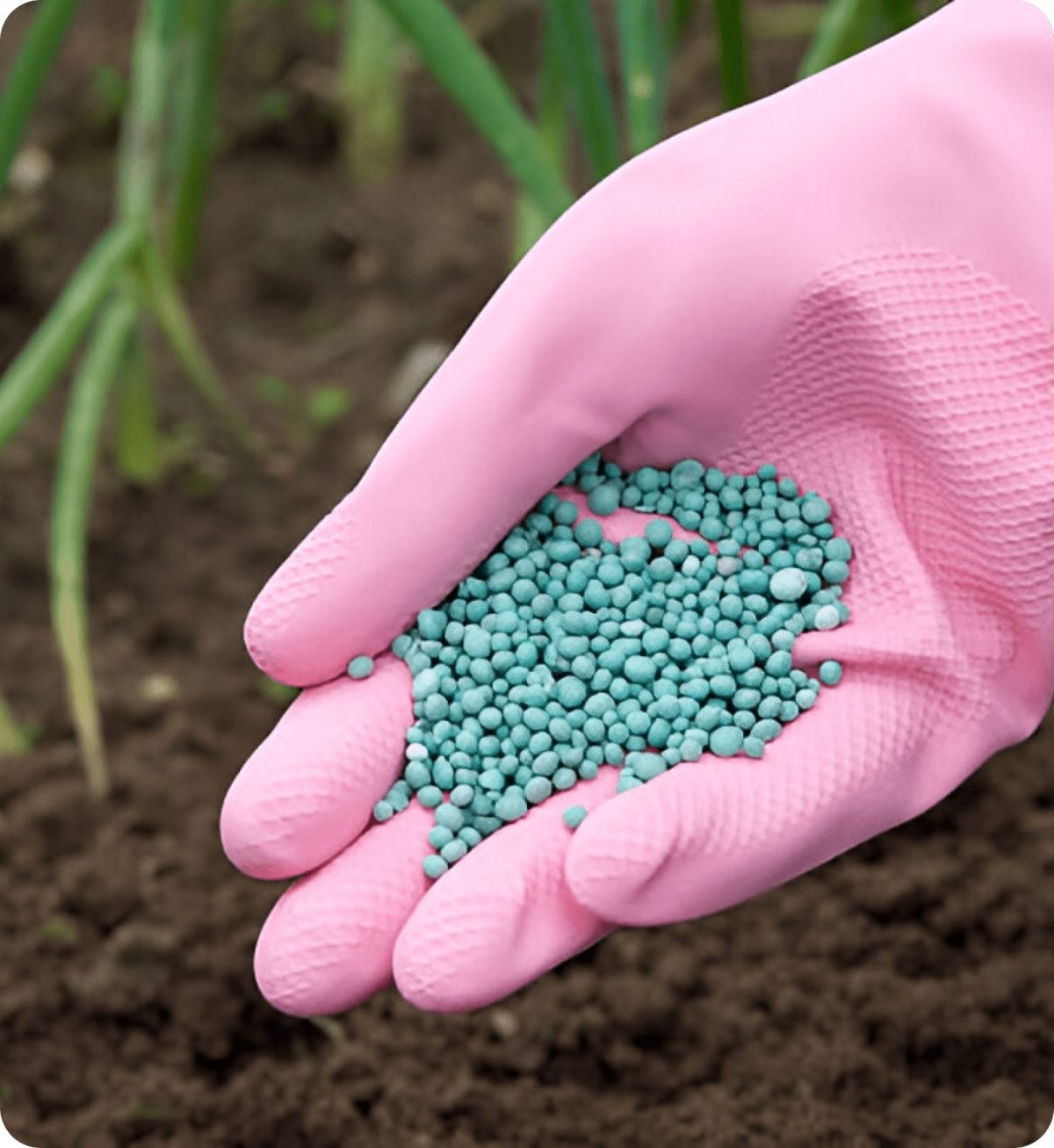 Fertilizer pellets - sustainable agriculture