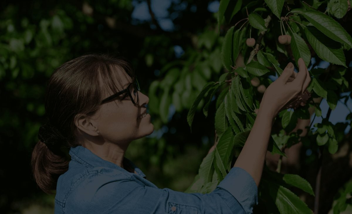 Vision background - sustainable agriculture