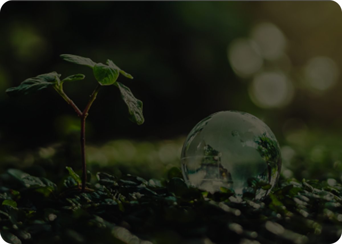 Observer Membership background