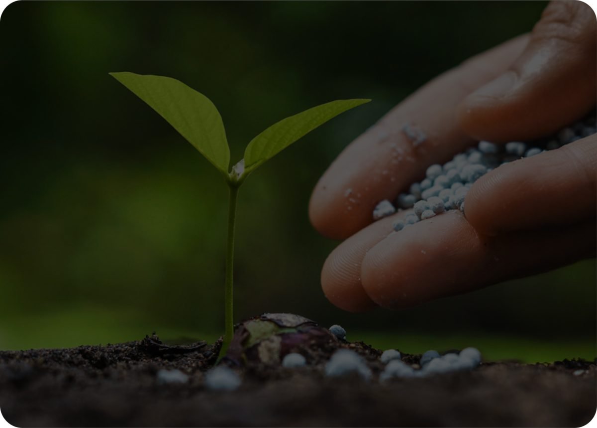 Supporting Membership background