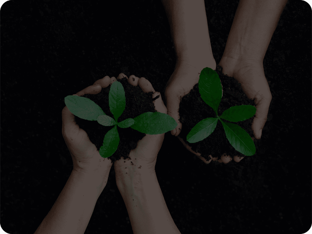 As the 31st International Annual Conference Concludes, the Arab Fertilizer Association Unveils Its 2025 Events