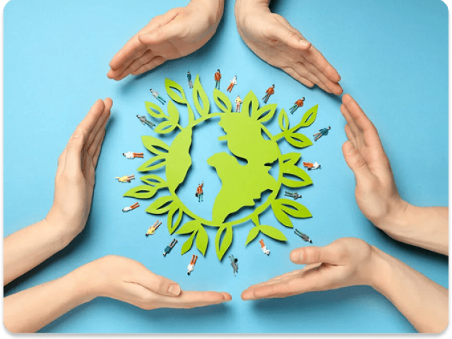 Sustainability Excellence Award For Company