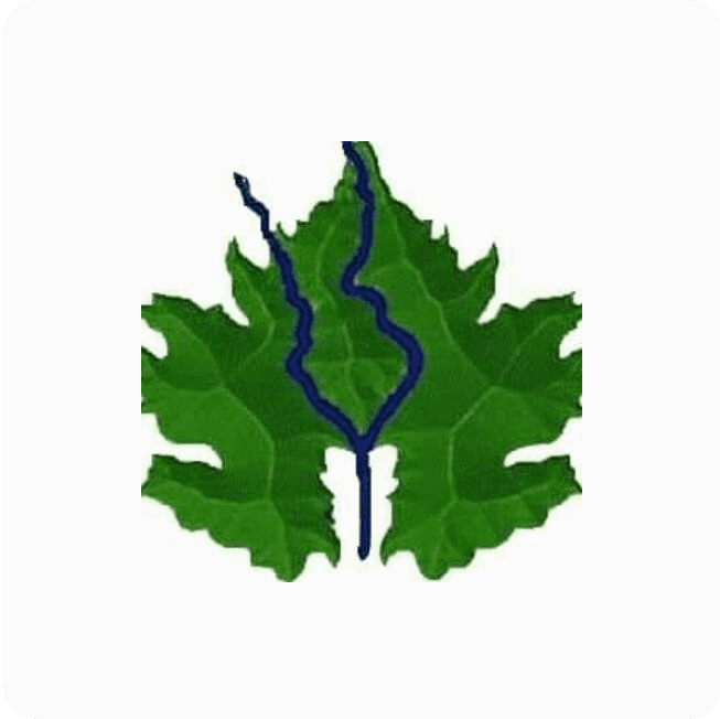 State Co. of Fertilizers South Region